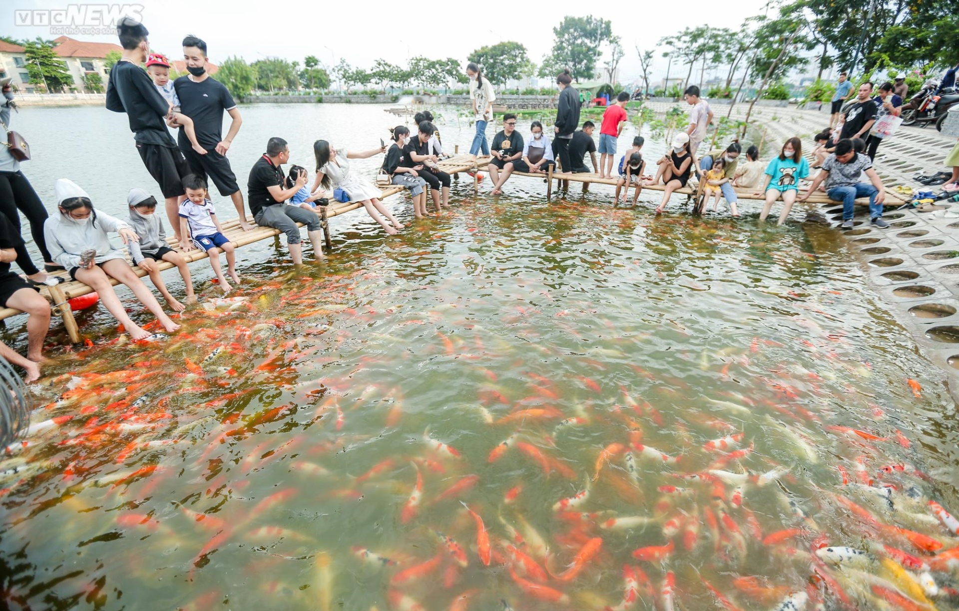 Người dân kéo đến trải nghiệm tại hồ cá Koi lớn nhất Hà Nội - Ảnh 3.