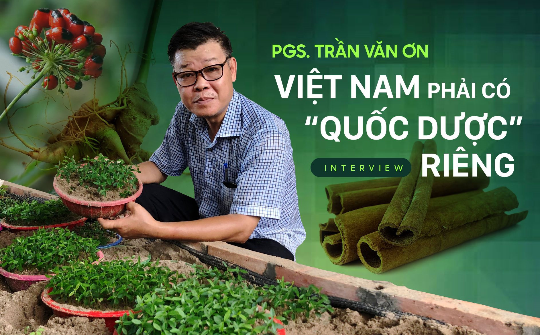 PGS. Trần Văn Ơn: Nhập 80% dược liệu thì cũng không cần hoảng hốt, nếu phát triển đúng, riêng cây quế có thể mang về cho Việt Nam cả tỷ đô la mỗi năm - Ảnh 1.
