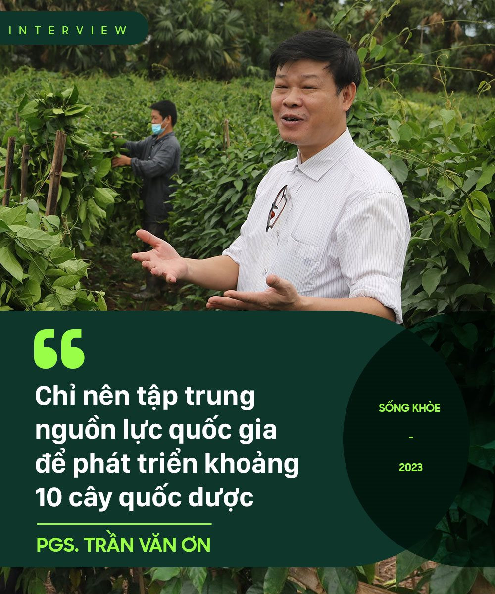 PGS. Trần Văn Ơn: Nhập 80% dược liệu thì cũng không cần hoảng hốt, nếu phát triển đúng, riêng cây quế có thể mang về cho Việt Nam cả tỷ đô la mỗi năm - Ảnh 3.