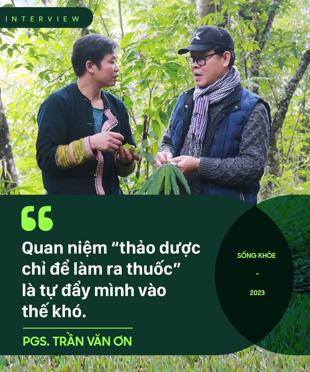 PGS. Trần Văn Ơn: Nhập 80% dược liệu thì cũng không cần hoảng hốt, nếu phát triển đúng, riêng cây quế có thể mang về cho Việt Nam cả tỷ đô la mỗi năm - Ảnh 4.