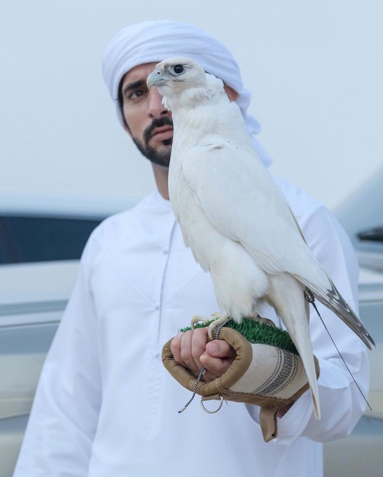 Thái tử đẹp trai nhất Dubai: Cuộc sống nhung lụa 'thích là nhích' bằng chuyên cơ đi khắp thế giới, BST toàn Ferrari, Lamborghini nhưng vẫn 'làm thêm' nhiều nghề vì một lý do - Ảnh 9.
