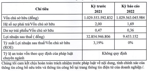Sông Hồng Hoàng Gia chậm thanh toán hơn 100 tỷ tiền gốc, lãi trái phiếu - Ảnh 2.
