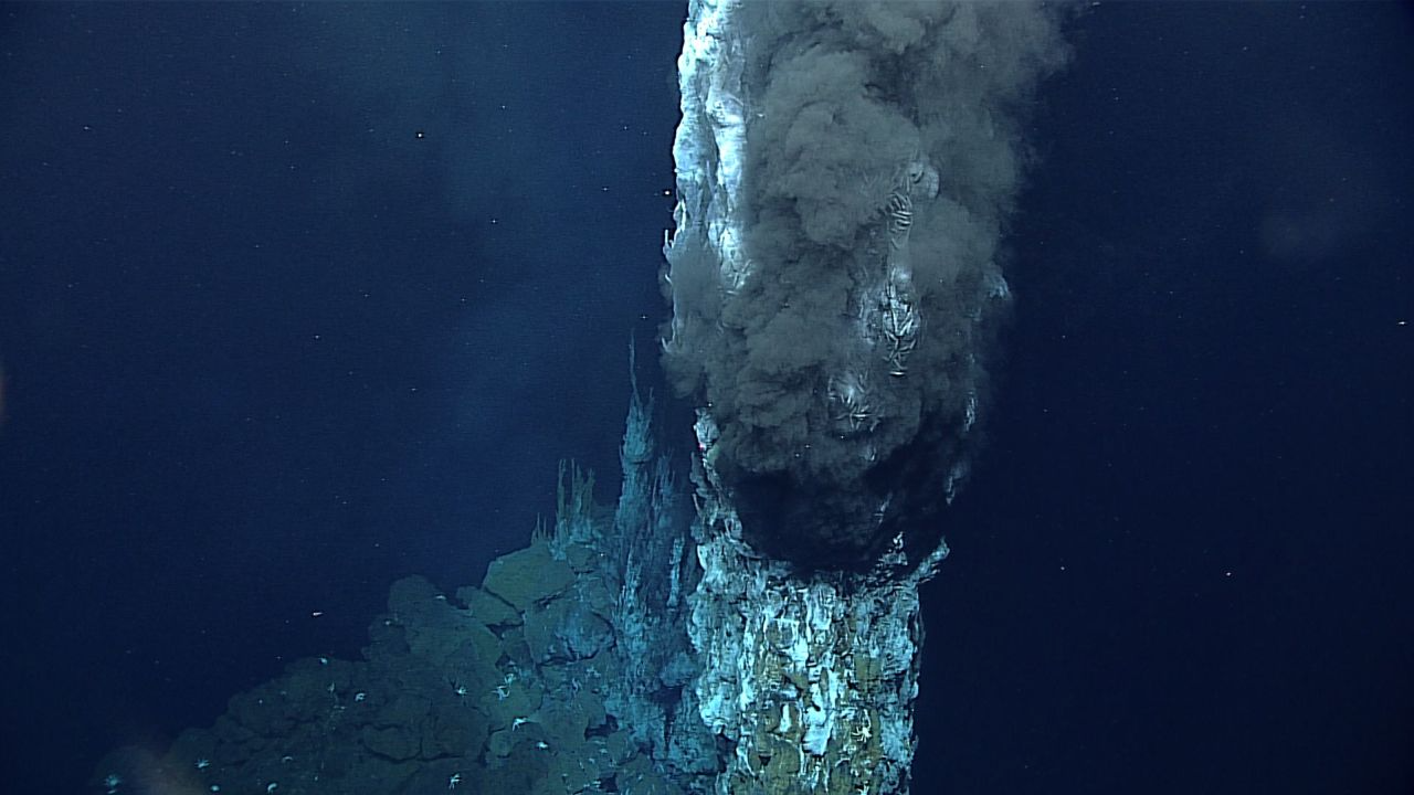 Những sự thật đáng kinh ngạc về vực thẳm Challenger, rãnh đại dương sâu nhất thế giới - Ảnh 3.