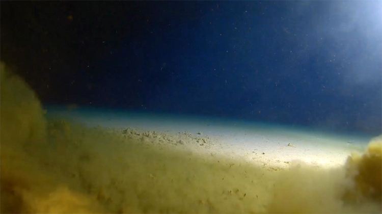 Những sự thật đáng kinh ngạc về vực thẳm Challenger, rãnh đại dương sâu nhất thế giới - Ảnh 1.
