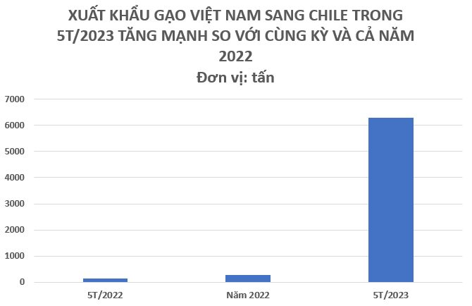 Một quốc gia châu Mỹ tăng nhập khẩu “hạt vàng” của Việt Nam hơn 4.000% trong 5 tháng đầu năm, gấp hơn 23 lần so với cả năm 2022 cộng lại - Ảnh 2.
