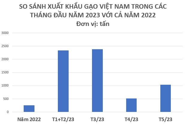 Một quốc gia châu Mỹ tăng nhập khẩu “hạt vàng” của Việt Nam hơn 4.000% trong 5 tháng đầu năm, gấp hơn 23 lần so với cả năm 2022 cộng lại - Ảnh 3.