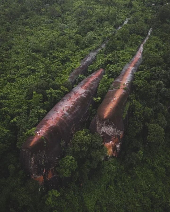 Chiêm ngưỡng cảnh quan kỳ vĩ đá cá voi khổng lồ 'bơi' giữa rừng rậm Thái Lan - Ảnh 2.