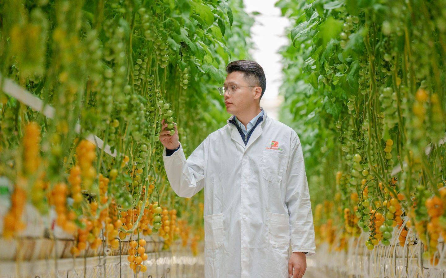 Xu hướng làm nông ‘hi-tech’ của giới trẻ Trung Quốc: không cần đất hay nắng mưa, chỉ cần thuật toán và AI là cho cây trĩu quả - Ảnh 3.