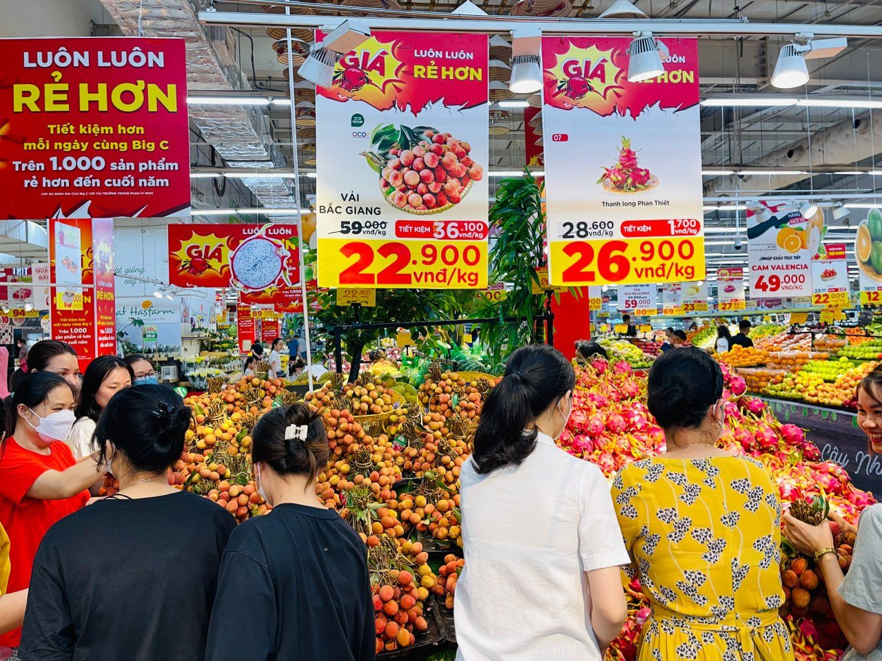 Tin vui cho nông dân Bắc Giang: 300 tấn vải thiều Lục Ngạn sắp đổ bộ loạt siêu thị BigC, GO! và xuất sang Thái Lan - Ảnh 1.