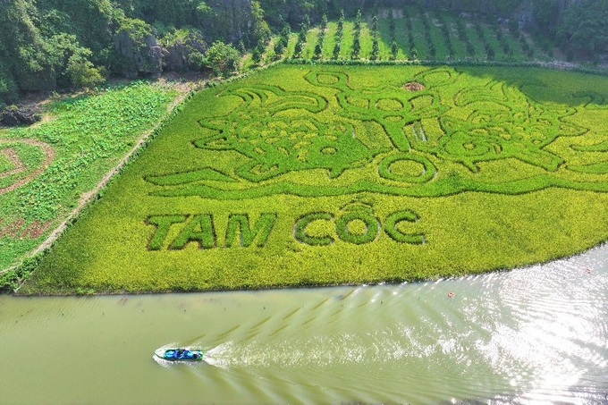 DN đằng sau bức tranh "Lý ngư vọng nguyệt'' trên cánh đồng lúa 10.000 m2 đẹp nhất Việt Nam: Đại gia của những siêu dự án tâm linh tỷ đô - Ảnh 2.