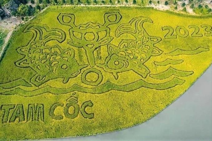DN đằng sau bức tranh &quot;Lý ngư vọng nguyệt'' trên cánh đồng lúa 10.000 m2 đẹp nhất Việt Nam: Đại gia của những siêu dự án tâm linh tỷ đô - Ảnh 1.
