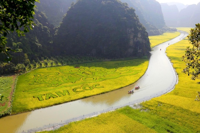 DN đằng sau bức tranh &quot;Lý ngư vọng nguyệt'' trên cánh đồng lúa 10.000 m2 đẹp nhất Việt Nam: Đại gia của những siêu dự án tâm linh tỷ đô - Ảnh 3.