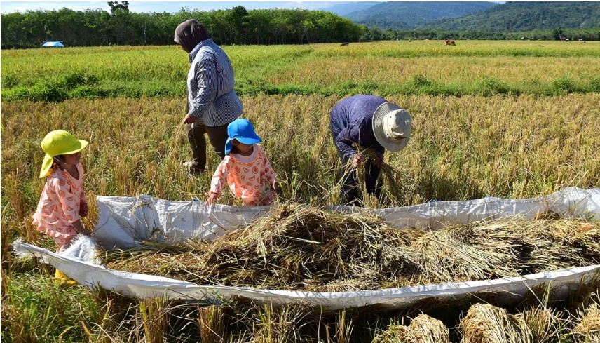 Đông Nam Á trải qua đợt nắng nóng kỷ lục 200 năm mới xảy ra một lần: Đến cuối thế kỷ càng đáng báo động - Ảnh 2.