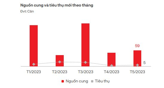 Đón tin vui condotel, biệt thự du lịch... được cấp sổ đỏ nhưng vì sao bất động sản nghỉ dưỡng vẫn ảm đạm - Ảnh 2.