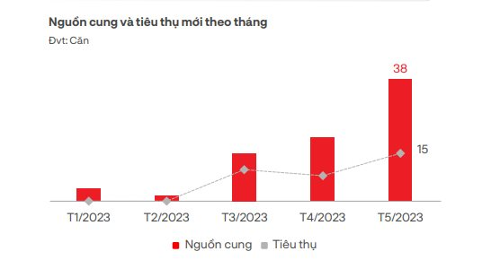 Đón tin vui condotel, biệt thự du lịch... được cấp sổ đỏ nhưng vì sao bất động sản nghỉ dưỡng vẫn ảm đạm - Ảnh 3.