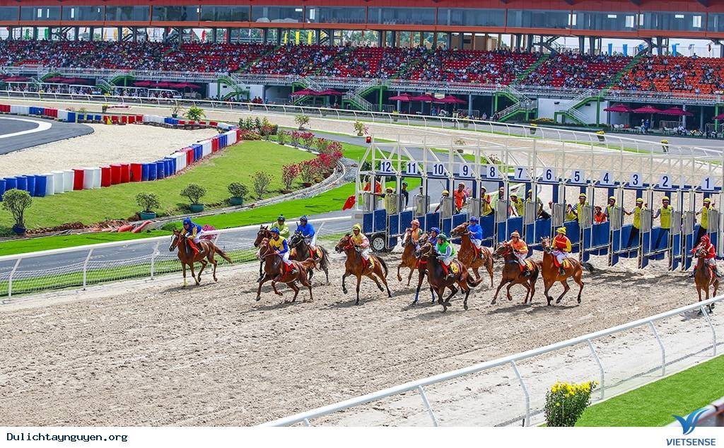 Đằng sau Trường đua ngựa, đua chó nghìn tỷ ở Lâm Đồng - Ảnh 1.
