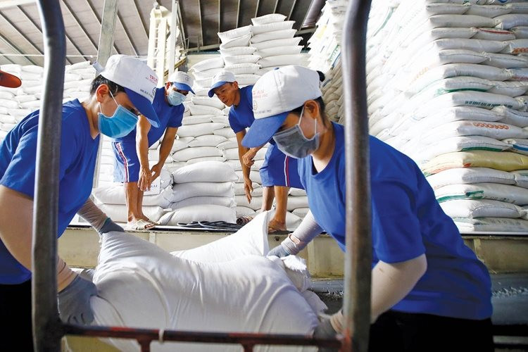 Một mặt hàng của Việt Nam đạt mức xuất khẩu kỷ lục tại Philippines, cao nhất từ trước đến nay - Ảnh 1.