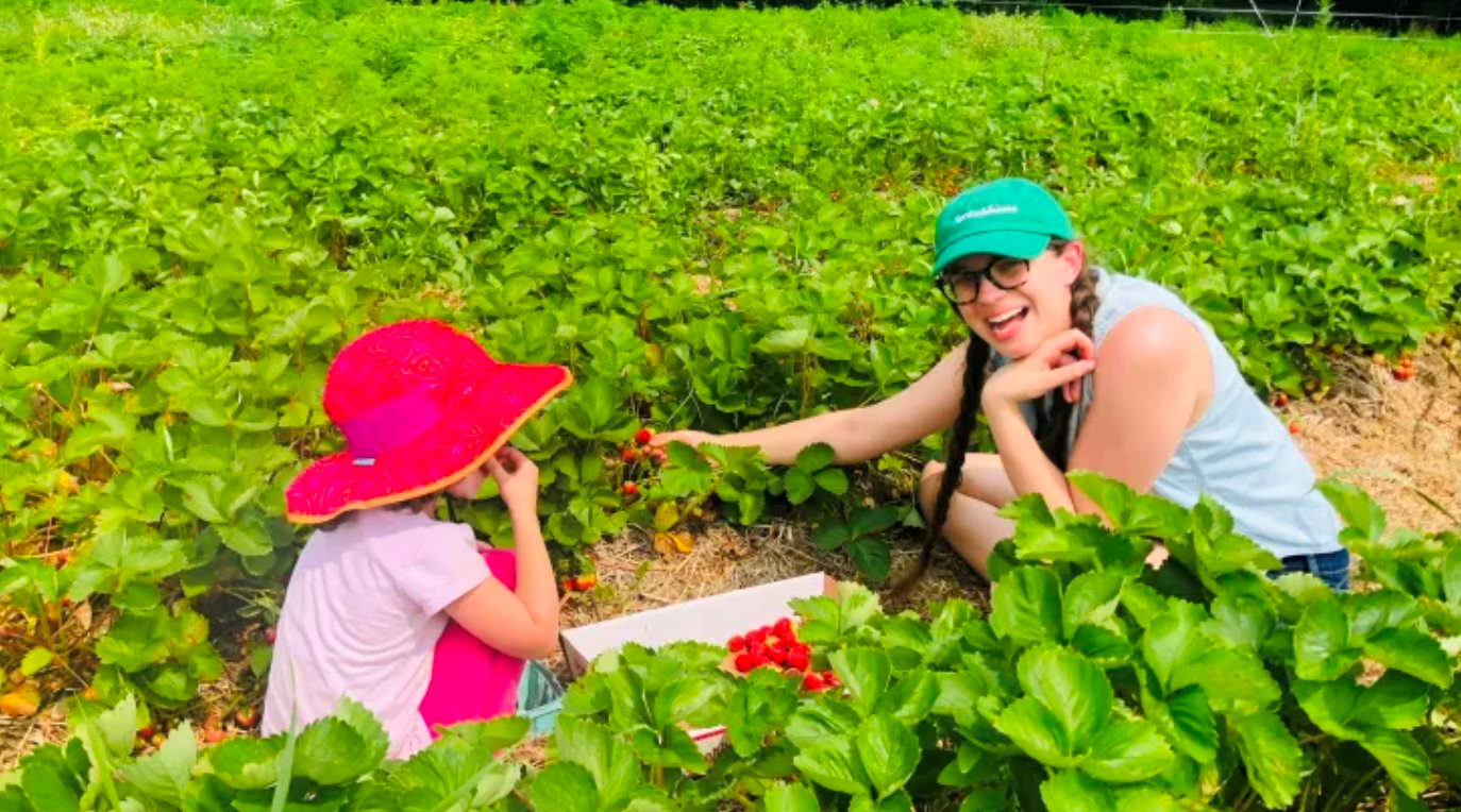 'Choáng' với nghề làm bảo mẫu, tài xế cho giới siêu giàu: Làm 2 tháng 'chơi' cả năm, thù lao xấp xỉ 50 triệu/ngày, lái xe đi dạo cũng được 'boa' hơn 100 triệu đồng - Ảnh 2. 'Choáng' với nghề làm bảo mẫu, tài xế cho giới siêu giàu: Làm 2 tháng 'chơi' cả năm, thù lao xấp xỉ 50 triệu/ngày, lái xe đi dạo cũng được 'boa' hơn 100 triệu đồng - Ảnh 2.
