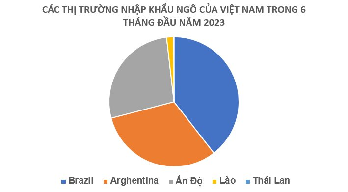 Một loại hạt của Lào đang được Việt Nam mạnh tay thu mua: Nhập khẩu tăng gần 400% trong nửa đầu năm, là mặt hàng nước ta nhập khẩu top đầu thế giới - Ảnh 3.