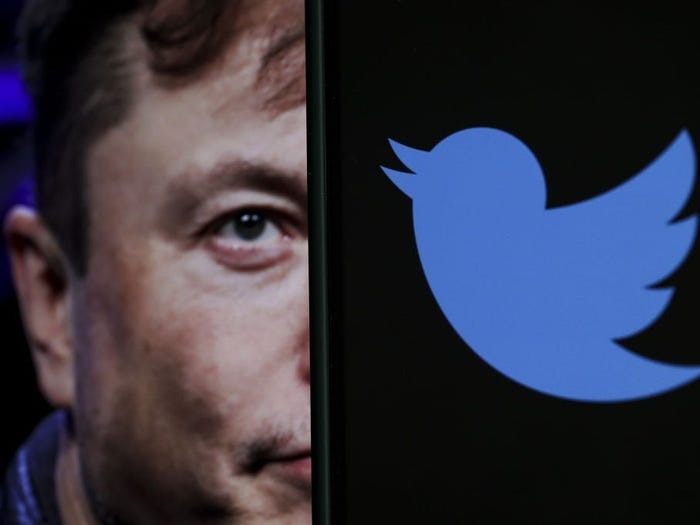 Elon Musk chuẩn bị 'tái thiết' thương hiệu Twitter và 'vĩnh biệt' những chú chim xanh - Ảnh 1.