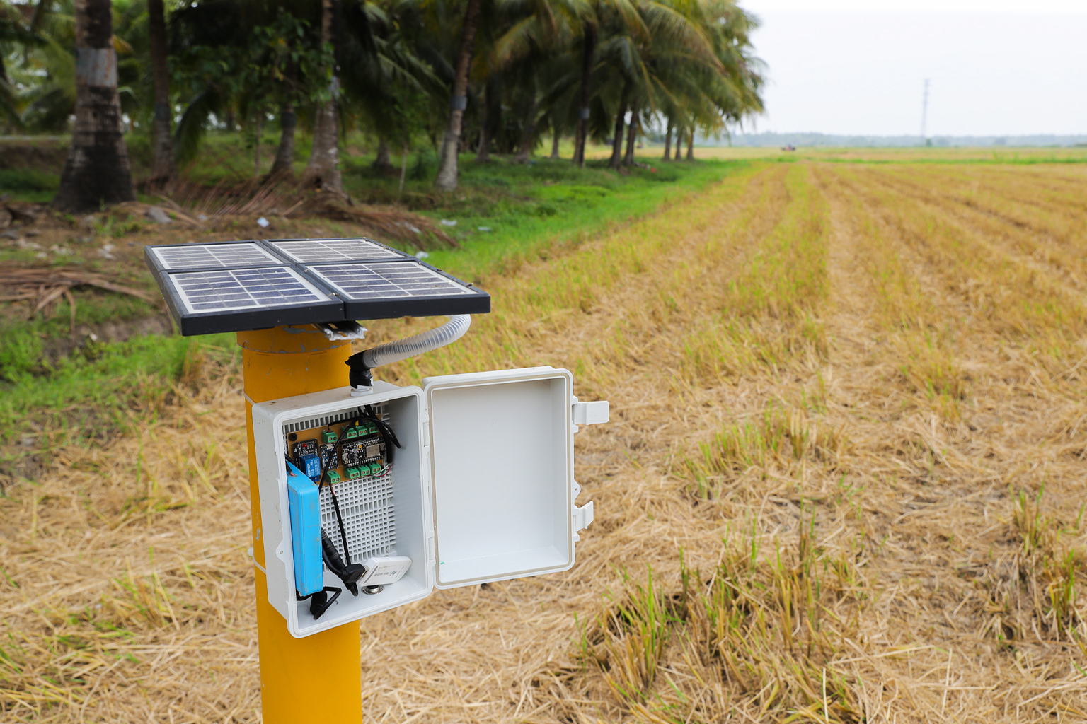 Sáng kiến của nông dân Việt Nam lên báo Tây: Chỉ cần ở nhà cũng biết lượng nước ở ruộng - Ảnh 3. Sáng kiến của nông dân Việt Nam lên báo Tây: Chỉ cần ở nhà cũng biết lượng nước ở ruộng - Ảnh 3.