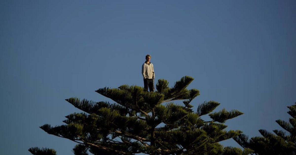 Công ty "họ Apec" giải trình cổ phiếu giảm sàn liên tiếp, mất gần 50% thị giá sau vài phiên - Ảnh 1.