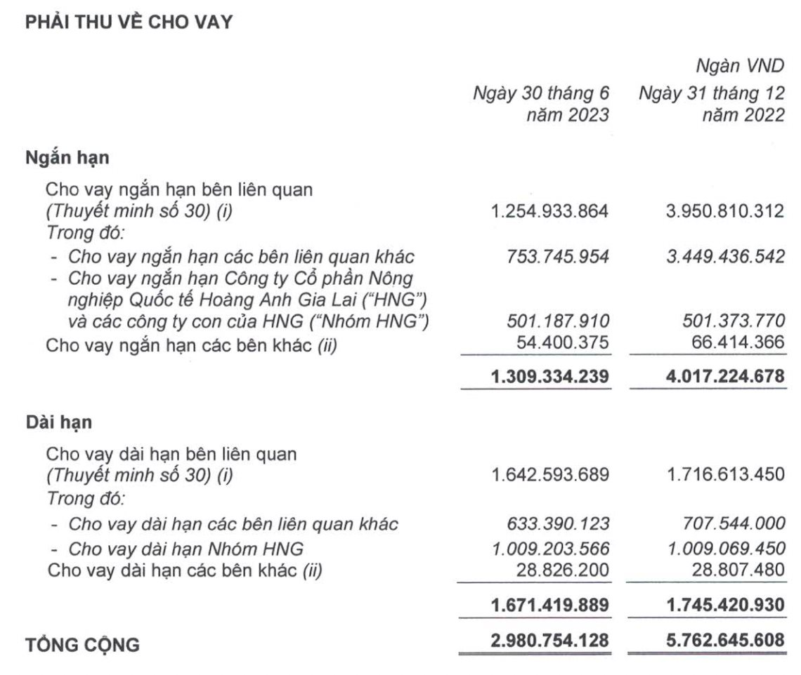 Dù mảng heo  hồi phục trong quý 2/2023, Hoàng Anh Gia Lai thoát lỗ là nhờ lợi nhuận khác - Ảnh 4.