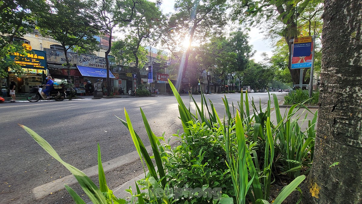 Cận cảnh tuyến phố Lý Thường Kiệt tuyệt đẹp lúc sáng sớm vừa được phê duyệt thiết kế đô thị riêng - Ảnh 13.