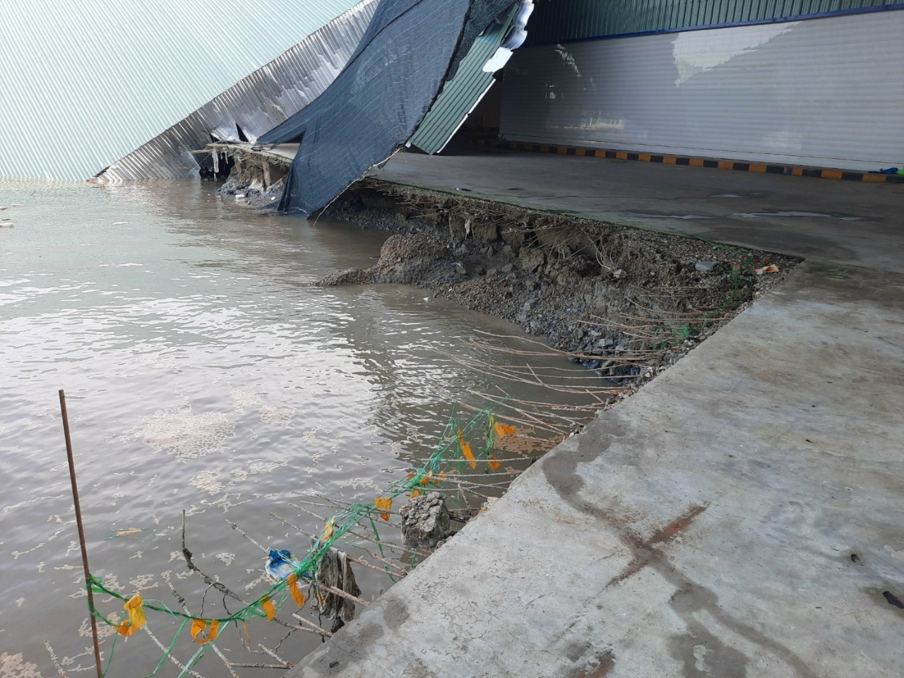 Sạt lở kéo công ty chế biến bột cá xuống sông, thiệt hại hơn 5 tỉ đồng - Ảnh 2.