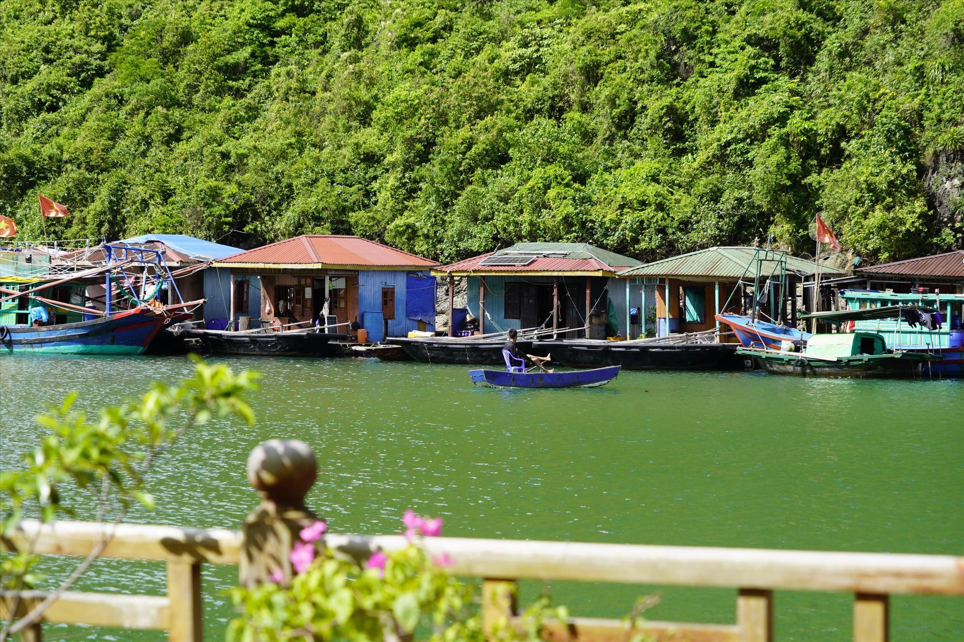 Bảo vật của di sản vịnh Hạ Long đang chìm dần - Ảnh 1.