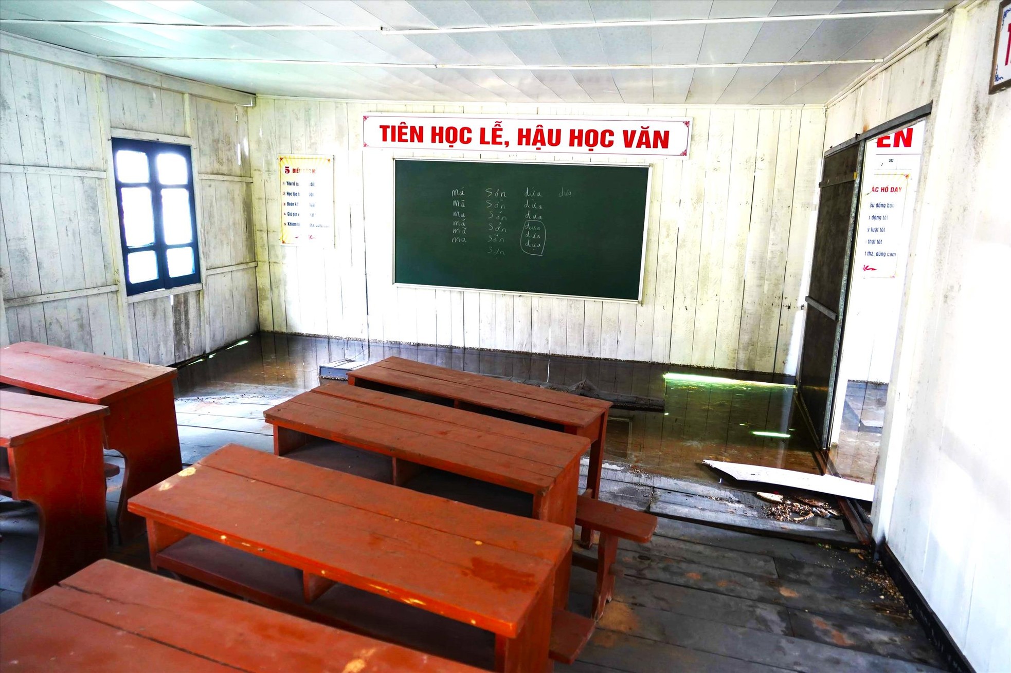 Bảo vật của di sản vịnh Hạ Long đang chìm dần - Ảnh 3.