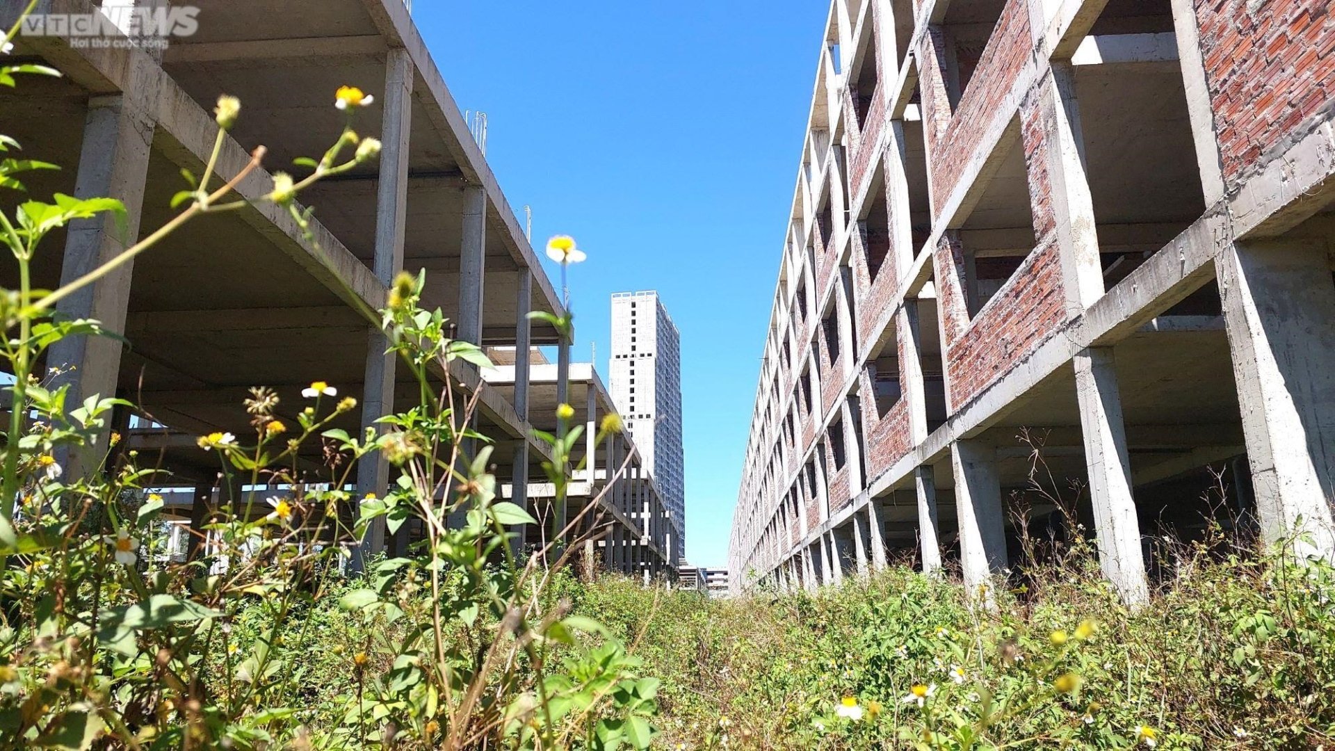 Cảnh tiêu điều tại dự án tổ hợp du lịch và giải trí Cocobay 11.000 tỉ đồng ở Đà Nẵng - Ảnh 7.