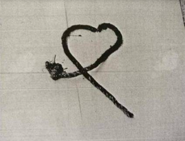 Tìm thấy gói mỳ được sản xuất năm 1994 trong mộ cổ hơn 2.000 năm, chuyên gia hét lớn lập tức gọi cảnh sát - Ảnh 3. Tìm thấy gói mỳ được sản xuất năm 1994 trong mộ cổ hơn 2.000 năm, chuyên gia hét lớn lập tức gọi cảnh sát - Ảnh 3.