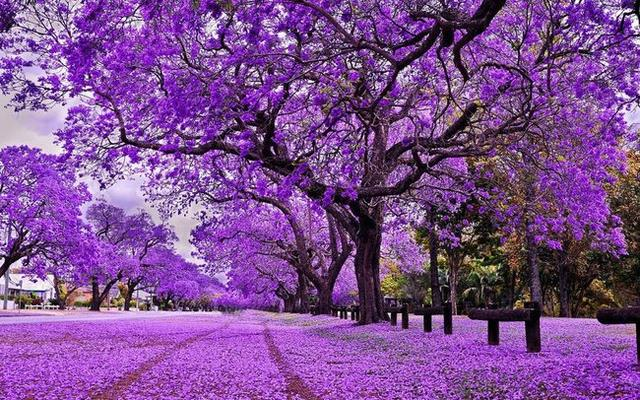 Một cổ phiếu sàn UPCoM vừa tăng gấp đôi chỉ sau một tuần, lãnh đạo và người thân &quot;ồ ạt&quot; đăng ký bán sạch cổ phần - Ảnh 1.