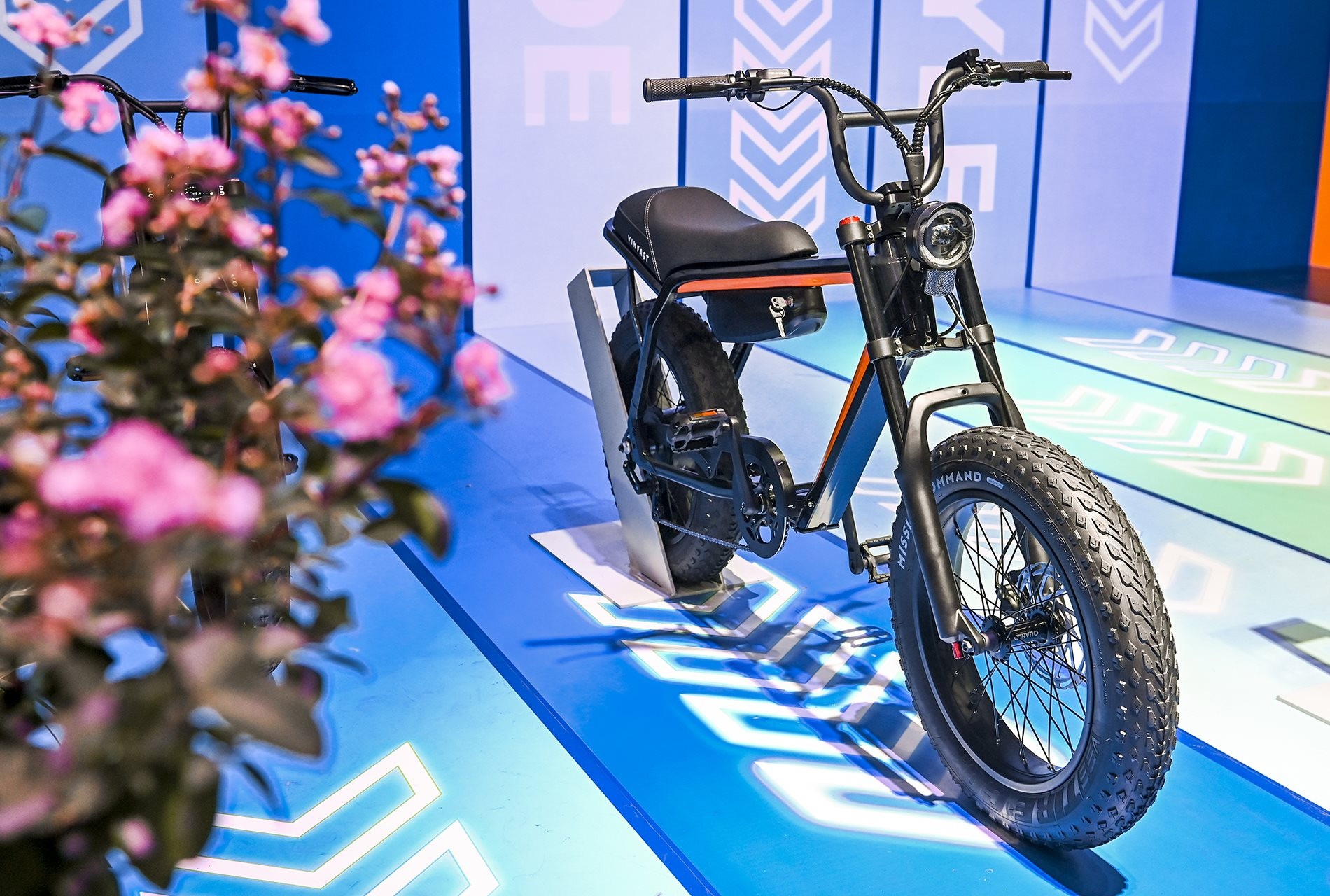 Xe đạp điện VinFast lần đầu ra mắt: tốc độ 32 km/h, pin có thể tháo rời, giá bán vẫn chưa được tiết lộ - Ảnh 2.