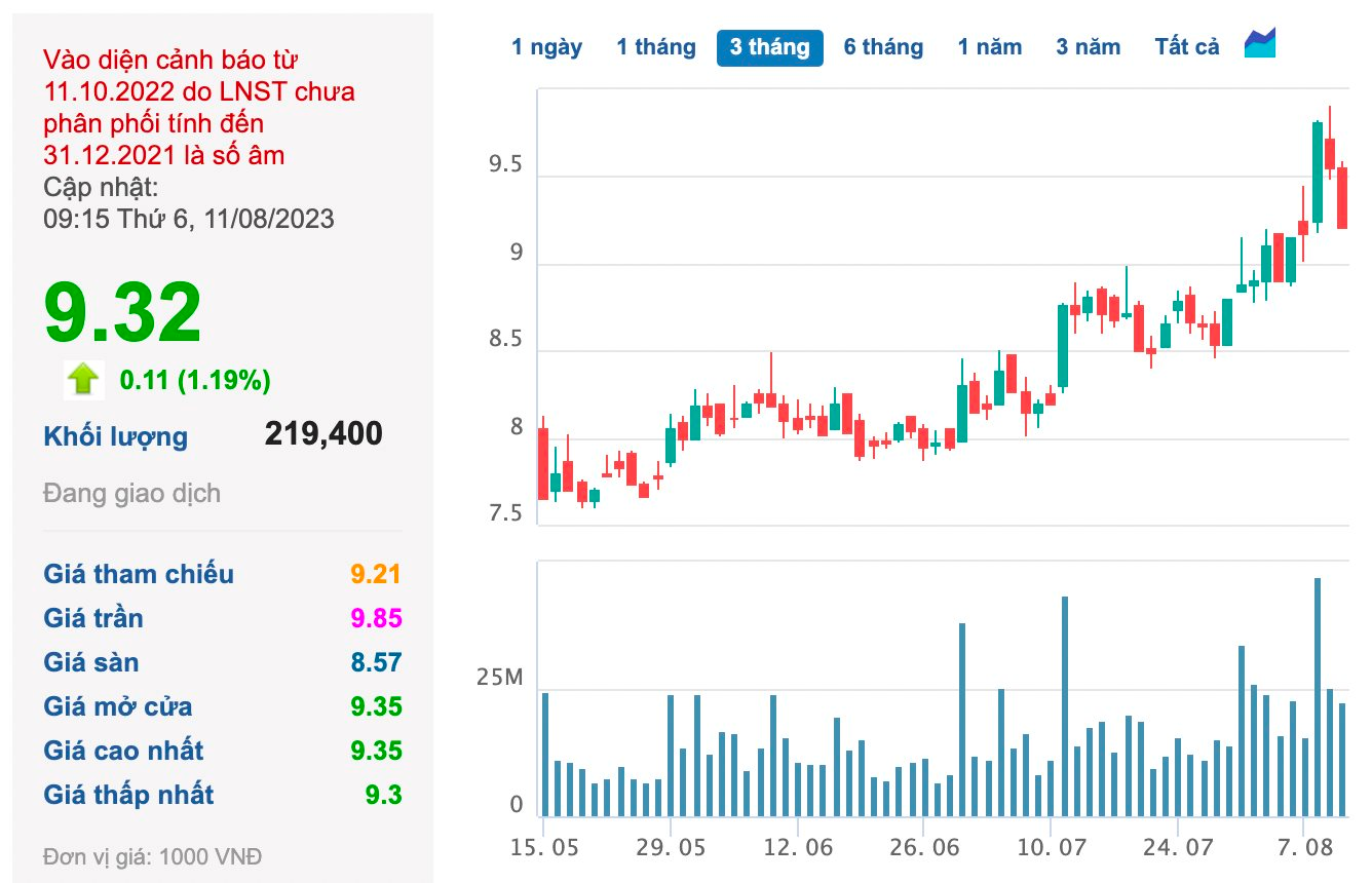 Hoàng Anh Gia Lai: Cầm cố 30 triệu cổ phiếu của công ty con cho khoản vay 500 tỷ tại Sacombank, nêu kế hoạch khắc phục chứng khoán bị cảnh báo - Ảnh 3.