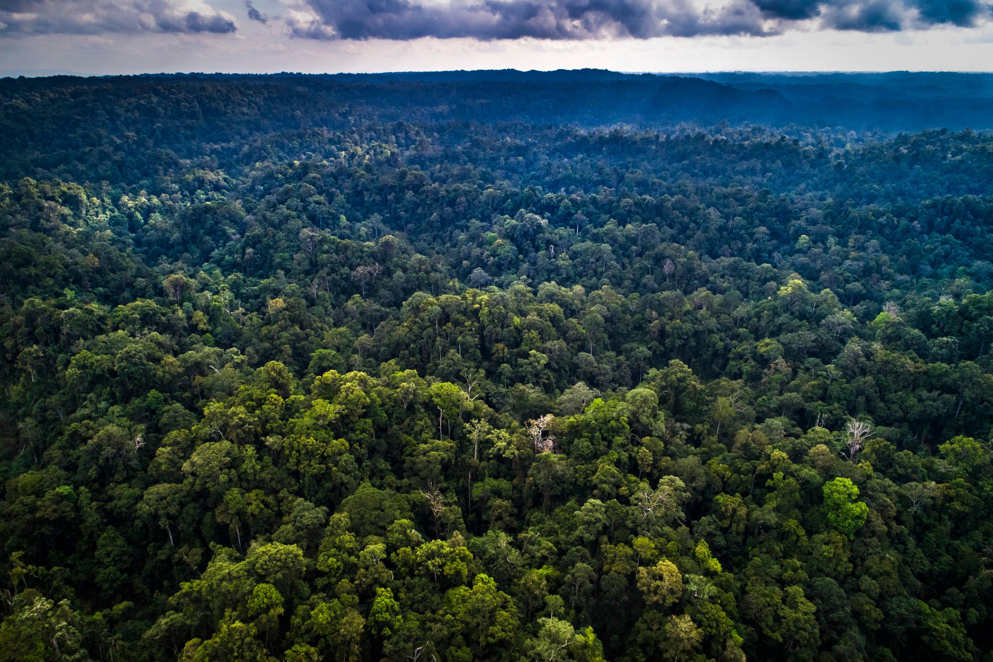 Món đặc sản Pháp tiêu thụ 4000 tấn/năm ảnh hưởng đến quốc gia cách xa 11.000 cây số? - Ảnh 2. Món đặc sản Pháp tiêu thụ 4000 tấn/năm ảnh hưởng đến quốc gia cách xa 11.000 cây số? - Ảnh 2.