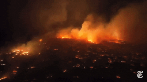 Thảm kịch cháy rừng ở Hawaii Nhân chứng kể lại cảnh tượng như ngày tận thế