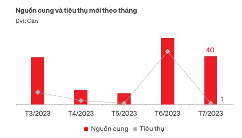 Cả nước chỉ có 1 căn biệt thự nghỉ dưỡng được giao dịch thành công trong tháng 7 - Ảnh 2.