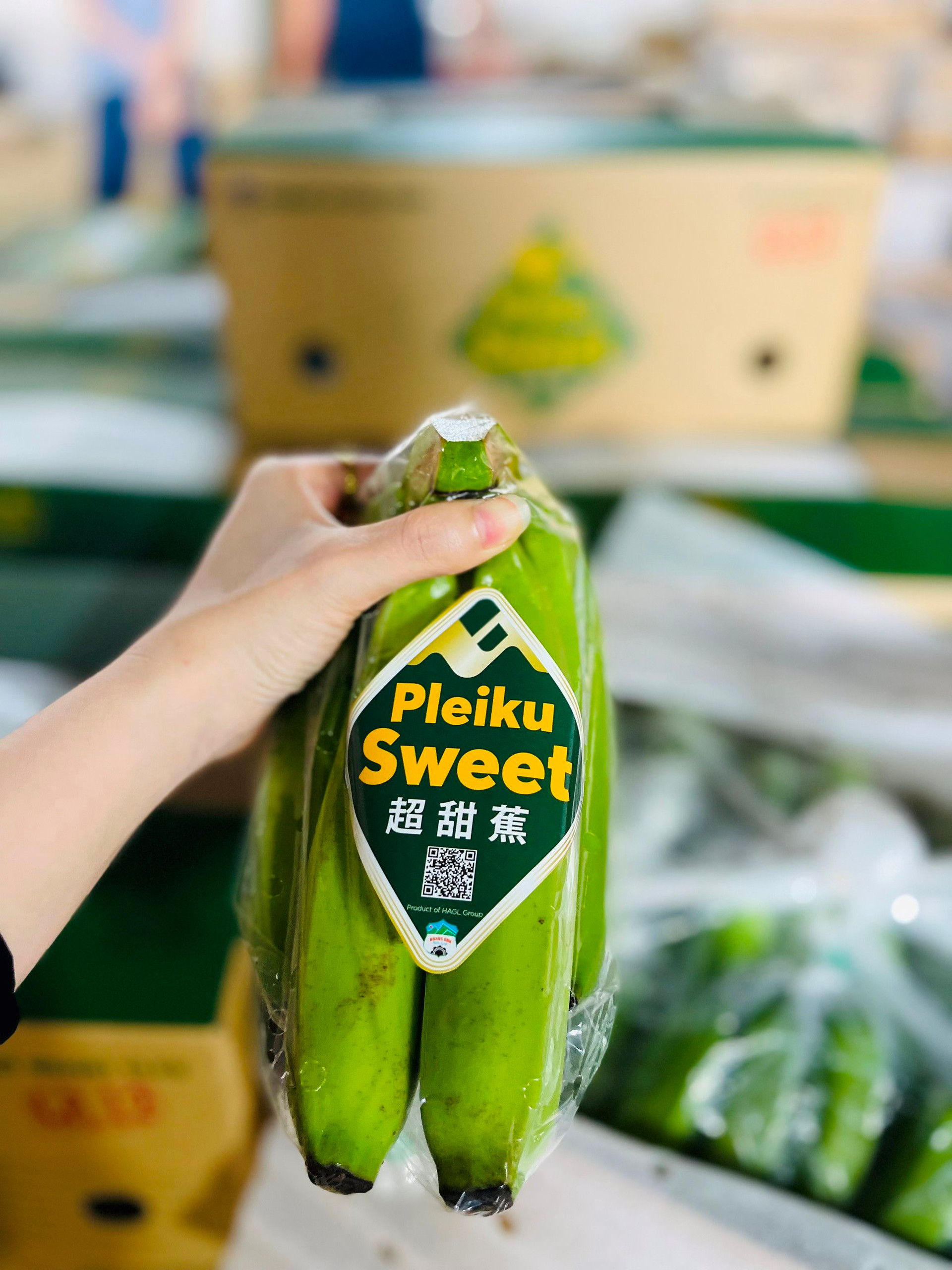 Hoàng Anh Gia Lai chi thưởng 600-800 triệu đồng cho nhân viên theo chế độ đãi ngộ mới, xây dựng thương hiệu riêng Pleiku Sweet cho chuối - Ảnh 6.