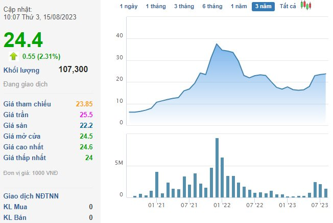 Phó Chủ tịch một công ty chứng khoán muốn mua gần 4% công ty, dự chi 140 tỷ đồng - Ảnh 2.