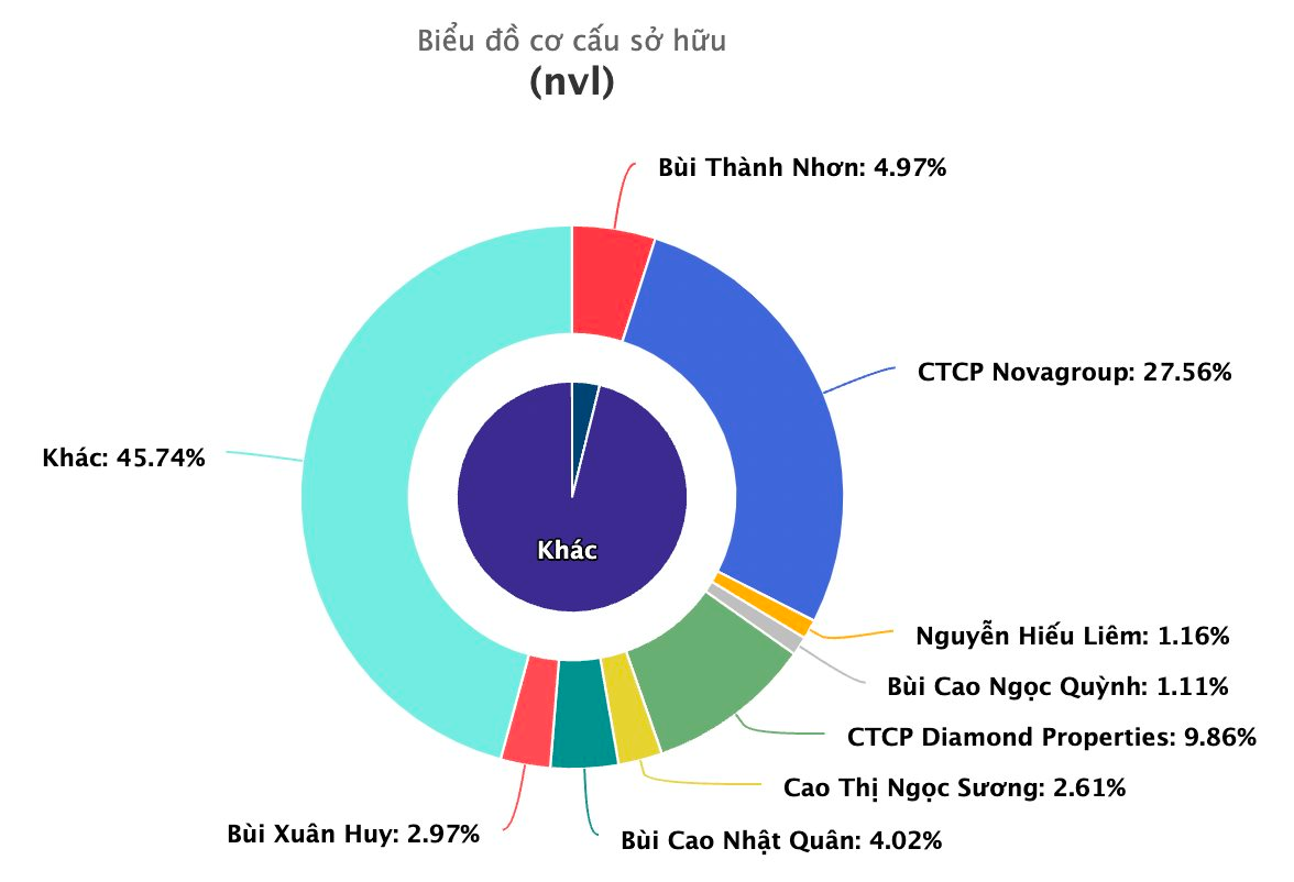 Novaland (NVL): Thị giá tăng 44% sau chưa đầy 1 tháng, Novagroup muốn bán thêm 43 triệu cổ phiếu - Ảnh 3.