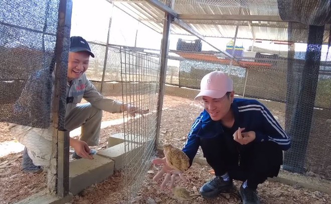 Quang Linh Vlog về Việt Nam 3 tháng, trang trại tại châu Phi giờ ra sao? - Ảnh 4.