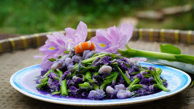Loại cây người Việt hái cho lợn ăn là thuốc, món ngon nhiều nước trên thế giới dùng - Ảnh 1. Loại cây người Việt hái cho lợn ăn là thuốc, món ngon nhiều nước trên thế giới dùng - Ảnh 1.