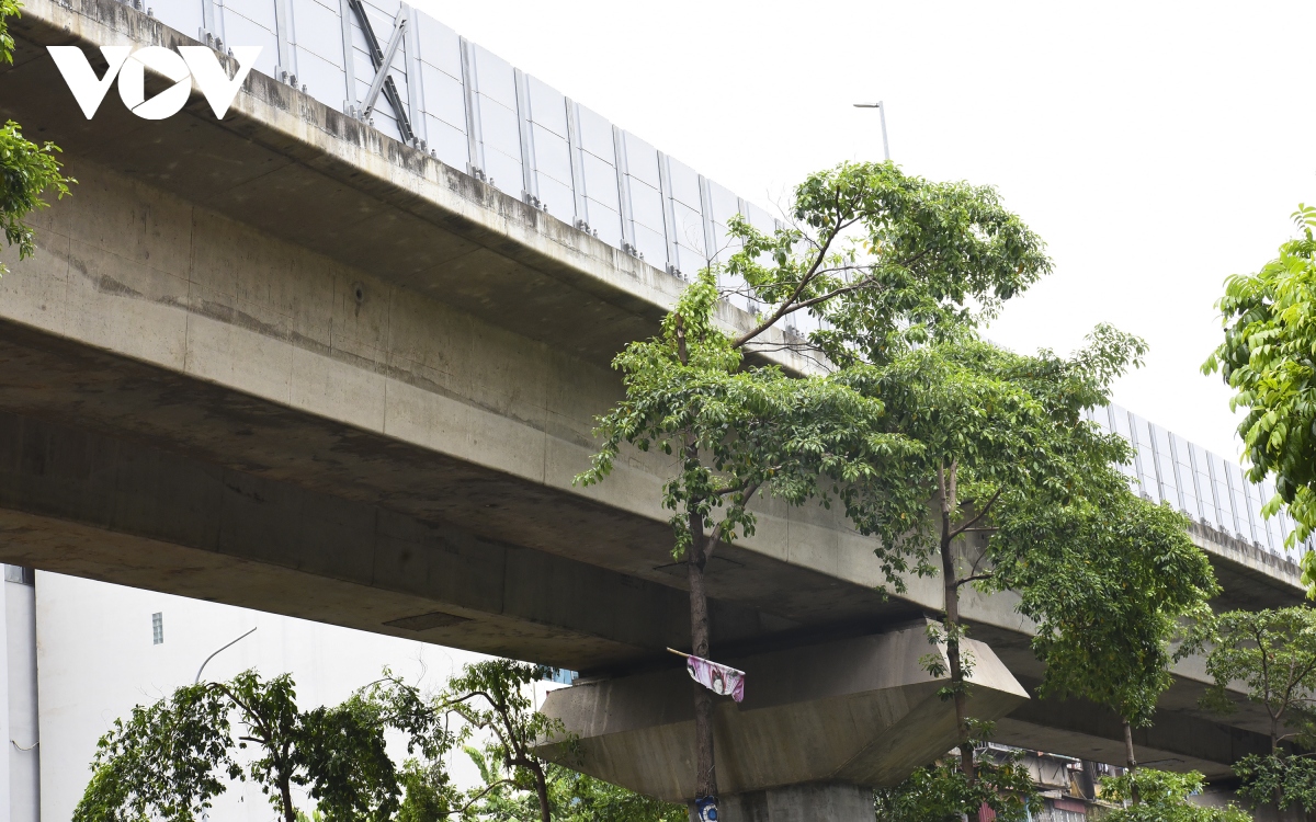Hàng loạt cây xanh Hà Nội khó phát triển vì “đụng trần” đường trên cao - Ảnh 8. Hàng loạt cây xanh Hà Nội khó phát triển vì “đụng trần” đường trên cao - Ảnh 8.