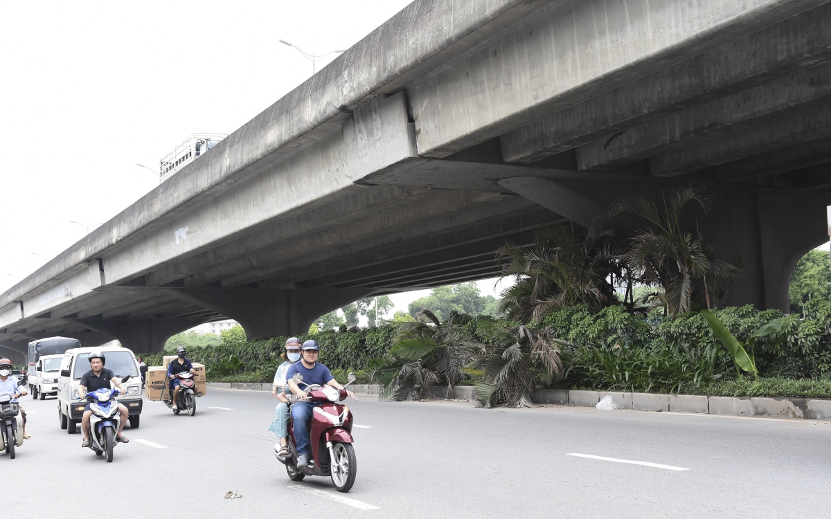 Hàng loạt cây xanh Hà Nội khó phát triển vì “đụng trần” đường trên cao - Ảnh 13. Hàng loạt cây xanh Hà Nội khó phát triển vì “đụng trần” đường trên cao - Ảnh 13.