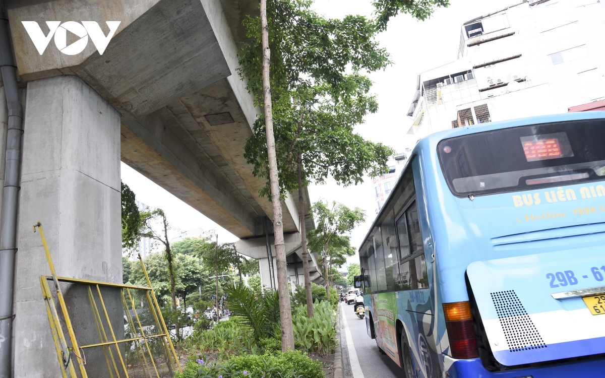 Hàng loạt cây xanh Hà Nội khó phát triển vì “đụng trần” đường trên cao - Ảnh 9. Hàng loạt cây xanh Hà Nội khó phát triển vì “đụng trần” đường trên cao - Ảnh 9.