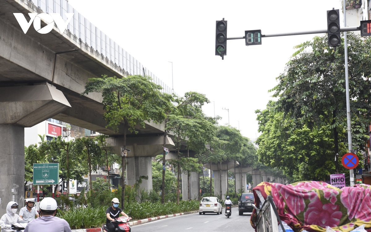 Hàng loạt cây xanh Hà Nội khó phát triển vì “đụng trần” đường trên cao - Ảnh 1. Hàng loạt cây xanh Hà Nội khó phát triển vì “đụng trần” đường trên cao - Ảnh 1.