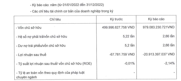 BNP Global sắp bán hơn 53 triệu cổ phiếu NVL, chưa đủ để trả một nửa trái phiếu quá hạn - Ảnh 2.