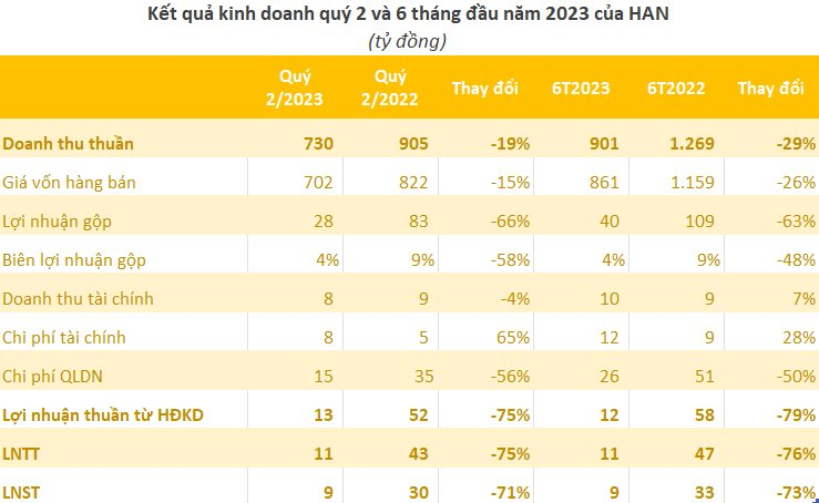 Một thành viên thuộc liên danh VIETUR báo lãi quý 2 giảm 75% so với cùng kỳ năm trước, cổ phiếu vẫn tăng gấp đôi sau chưa đầy một tháng - Ảnh 3.